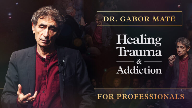 Gabor Mate - Healing Trauma and Addiction for Professionals - Wholehearted.org - 16x9-T